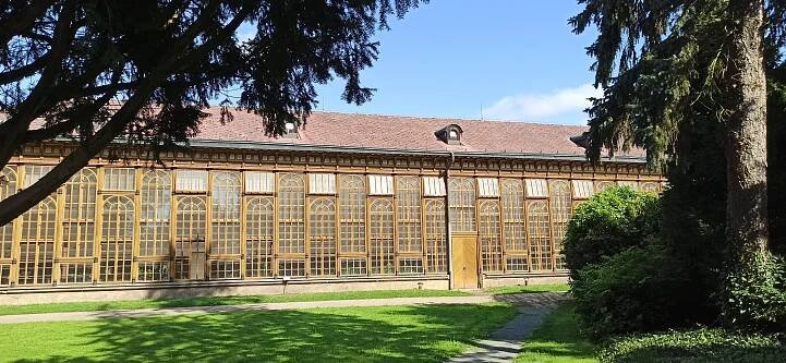 palmový skleník - Opočno