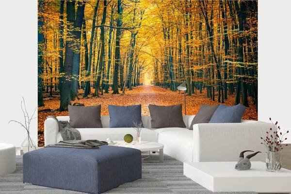 Fototapeta Barevný podzimní park - vliesová tapeta na míru - moorals.cz