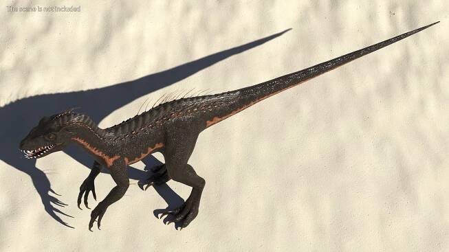 Dinosaurs Collection 5 3D https://p.turbosquid.com/ts-thumb/CX/ycHq25/At/dinosaurscollection53dsmodel007/jpg/1665957756/1920x1080/fit_q87/0104aaabd6c3a1b2c2663d462baf4a2915c4d558/dinosaurscollection53dsmodel007.jpg