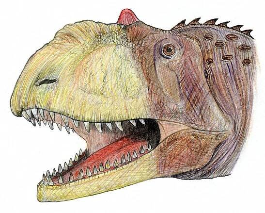 Majungasaurus / © Martin F. Chavez