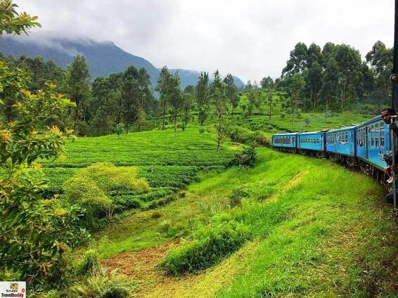 How to Travel Kandy to Nuwara Eliya by Train, Bus & Car