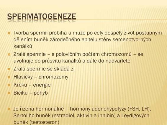 PPT - Somatologie PowerPoint Presentation, free download - ID:1974759