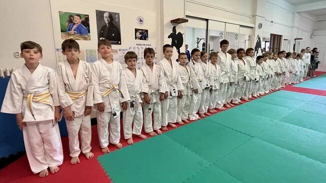 Judo Best Motion foto 6