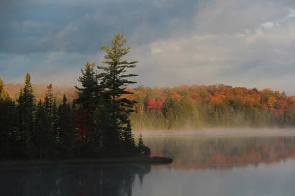 Algonquin 2017 - Ken van Rees