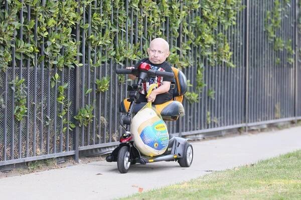 Verne Troyer