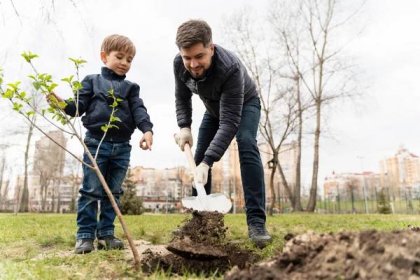 Sázení ovocných stromků: jarní termín je vhodný pro řadu oblíbených odrůd – Pěstujme.cz – tipy nejen pro zahradu