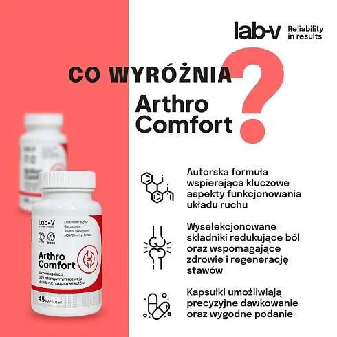 LAB-V Arthro Comfort - Komplexní podpora zdraví kloubů a pohybového aparátu pro psy a kočky 90 kapslí | Krteckem.cz - Zverimex
