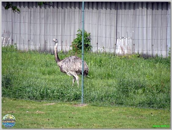 Zoopark Stěžery