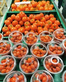 Prodej ovoce a zeleniny Znojmo | Zelená zahrada Znojmo
