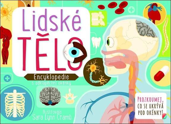 Lidské tělo