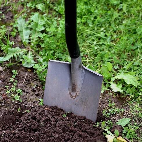 Landscape Services in Cary