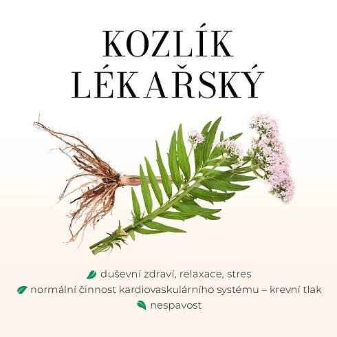 Femigreen - tobolky – Menopauza – Green idea
