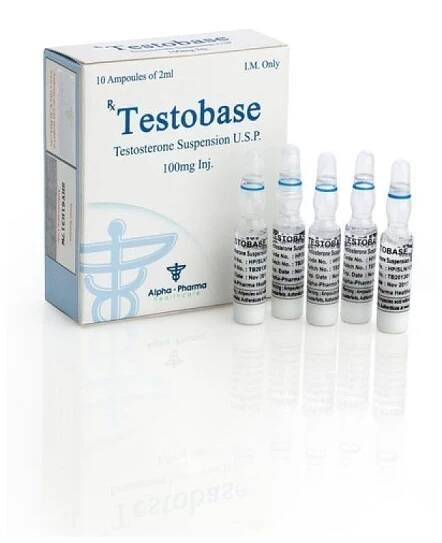 TESTOBASE