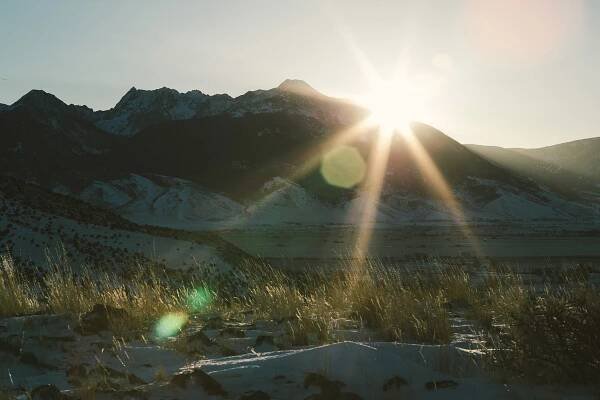 04_70X_MOUNTAIN_LIONESS_GILLETT-2294_1200
