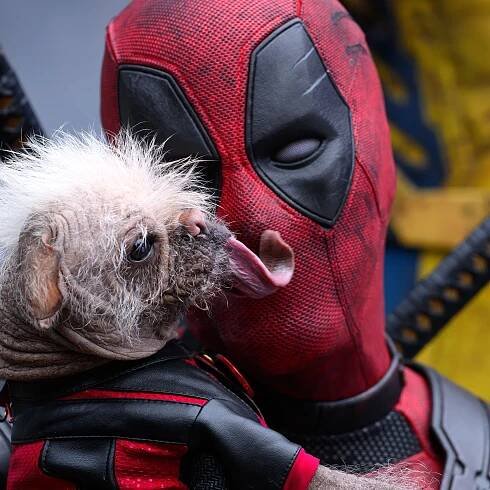 Deadpool confirmed to join Avengers: Doomsday