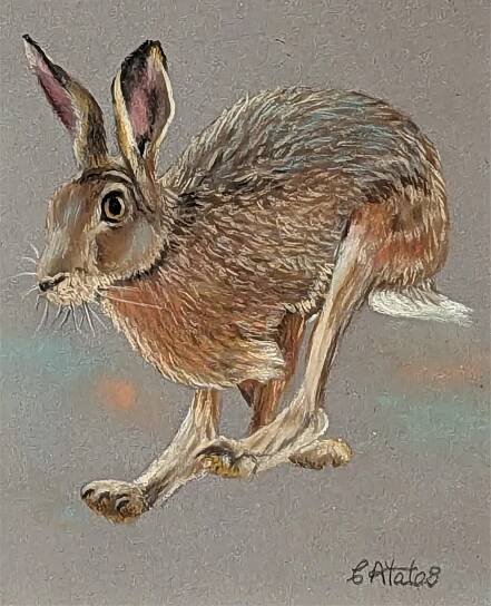 Carol Yates - Artist - Farfield Mill