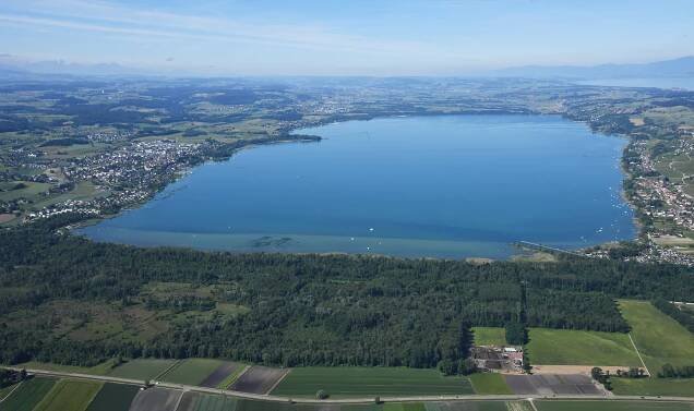 Murtenské jezero