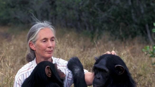 Jane Goodallová (90) nadchla Prahu: „Mojí láskou byl Tarzan,“ vzpomínala. S Bobkem si střihla taneček