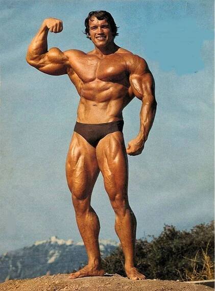 arnold2.jpg