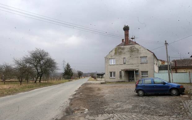 Konečně! Na Hanou dorazili první čápi