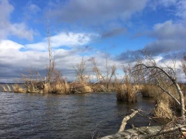 Koalice proti suchu chce zvýšit hladinu největší vodní plochy na Moravě, ornitologové se bouří