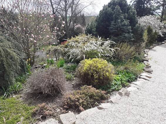VIDEO: Arboretum Nový Dvůr na jaře. Návštěvníky láká nejen na skleníkové novinky