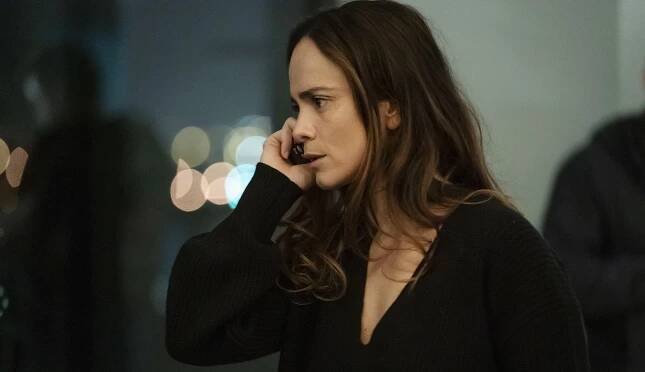 Alice Braga - Actress