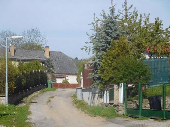 Bubovice na jaře