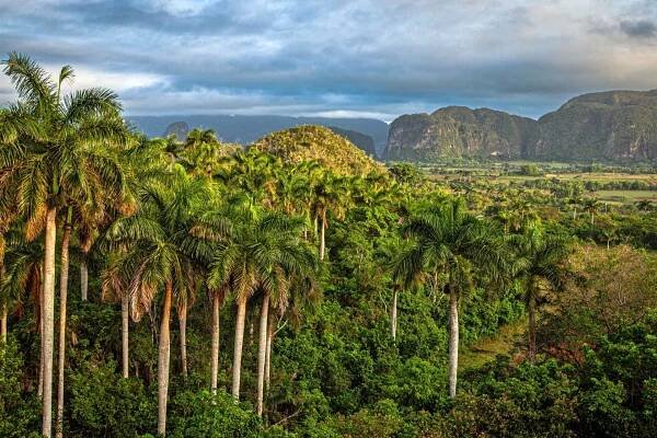 Valle de Vinales