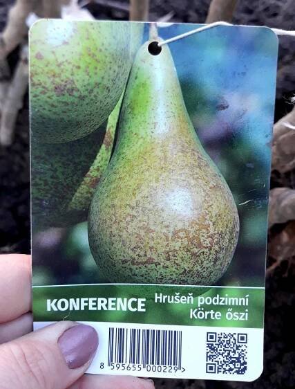HRUŠEŇ - KONFERENCE - PODZIMNÍ