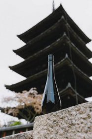 Why Sake? — HEAVENSAKE | Premium Junmai Sake