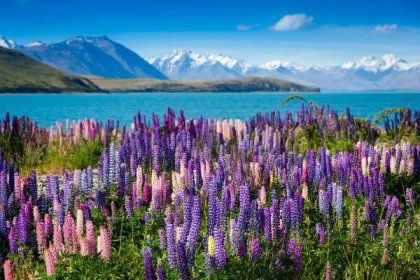 TOP 10 míst, která navštívit na Novém Zélandu