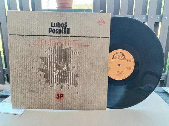 LP : VINYL | Aukro