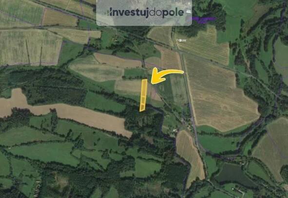 Prodej pole 6870 m², Mileč - Bezděkovec