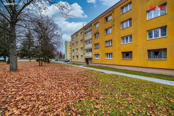 Prodej bytu 2+1 65 m², Sokolská, Stod