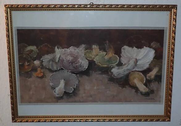 HOUBY - JOSEF VONDRÁČEK
