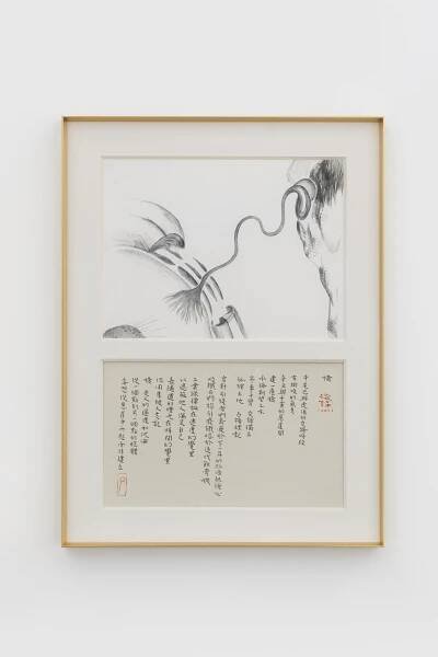Nature Through A Glass At Reflexion, Beijing Artwork 9