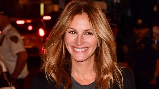 Julia Roberts Shows Off Light Blonde Hair at Homecoming Press Event