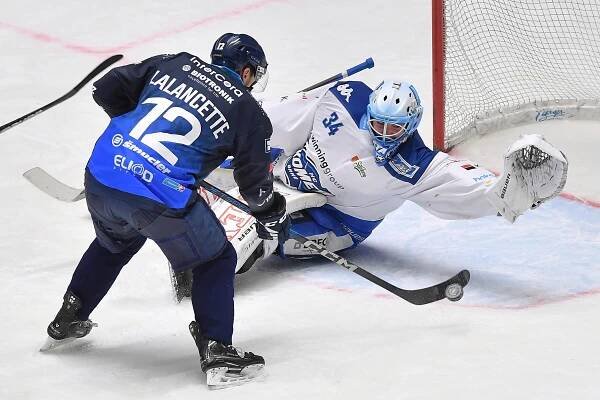 Extraliga hokej živě dnes: Kometa Brno vs. Plzeň livestream