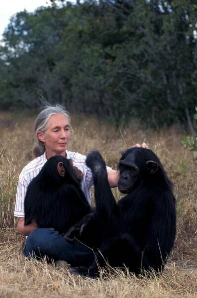 Asi holka! Slavná Jane Goodallová (90) vybere nové gorilce z pražské zoo jméno