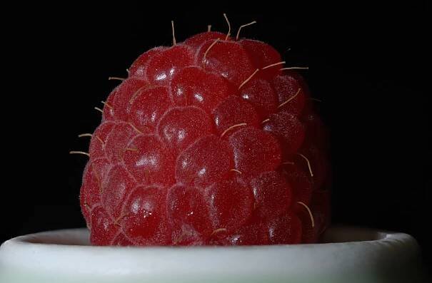 Macro