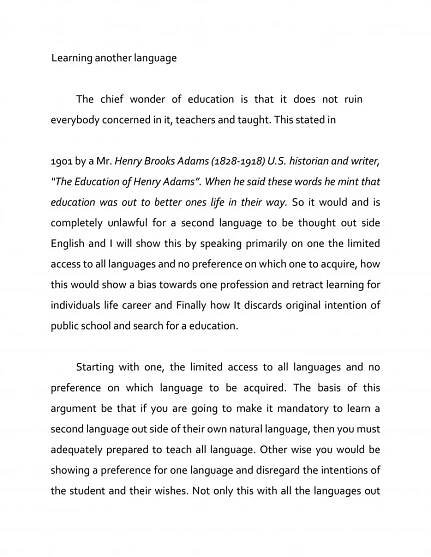 persuasive essay examples 30