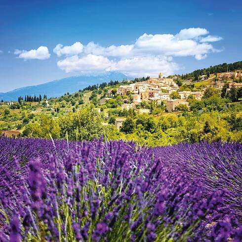 Nástěnný poznámkový kalendář 2026 Provence | AAApapir.cz 