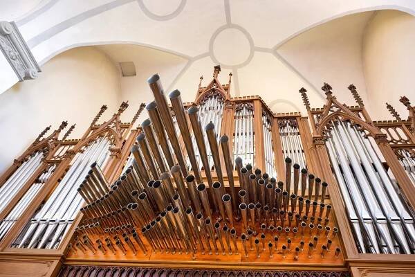 Bach XXII
