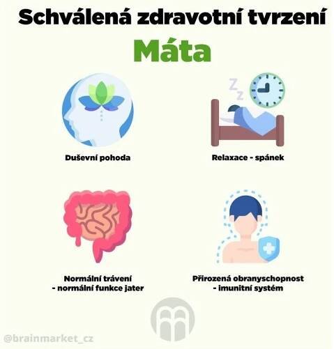 BrainMax Digestive Magic 100 kapslí
