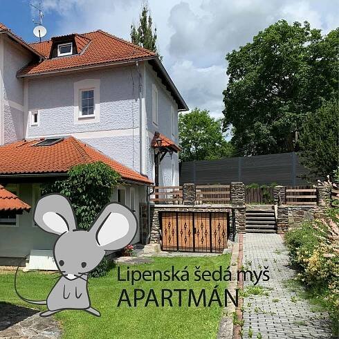 Apartmán Lipenská šedá myš - pronájem apartmánu - 1 Horní Planá - Hůrka - zvětšit
