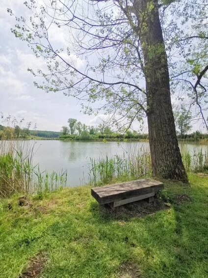 Naučná stezka Holské rybníky - okres Nymburk | Ověřeno rodiči