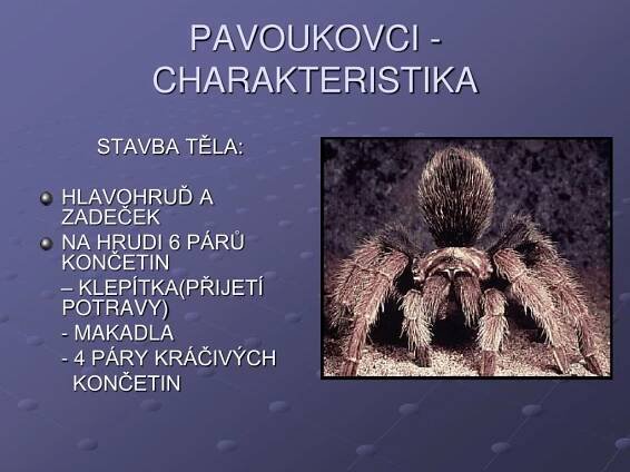 PPT - ČLENOVCI PowerPoint Presentation, free download - ID:4157833