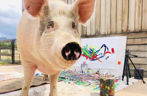 Pigcasso
