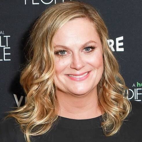 Amy Poehler's Changing Looks